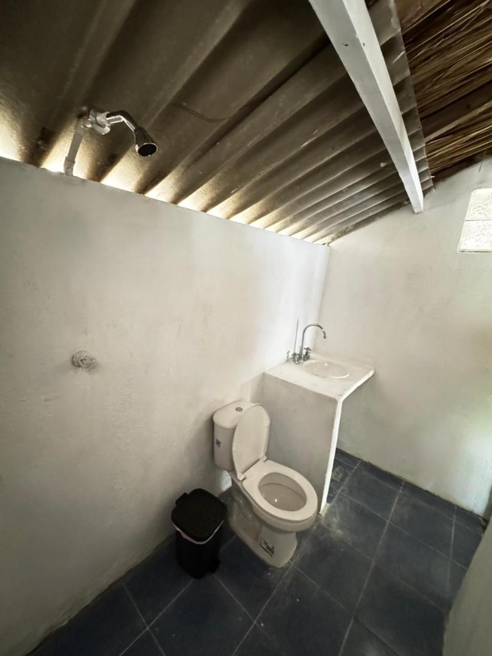 Eco Hotel Bosque Encantado Isla Grande  Dış mekan fotoğraf